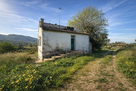 Villa a Benicolet, Valencia, Benicolet - € 128.000 | Ref: PNVL2165 - foto 14